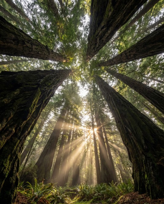 1 Thessalonians 5:11